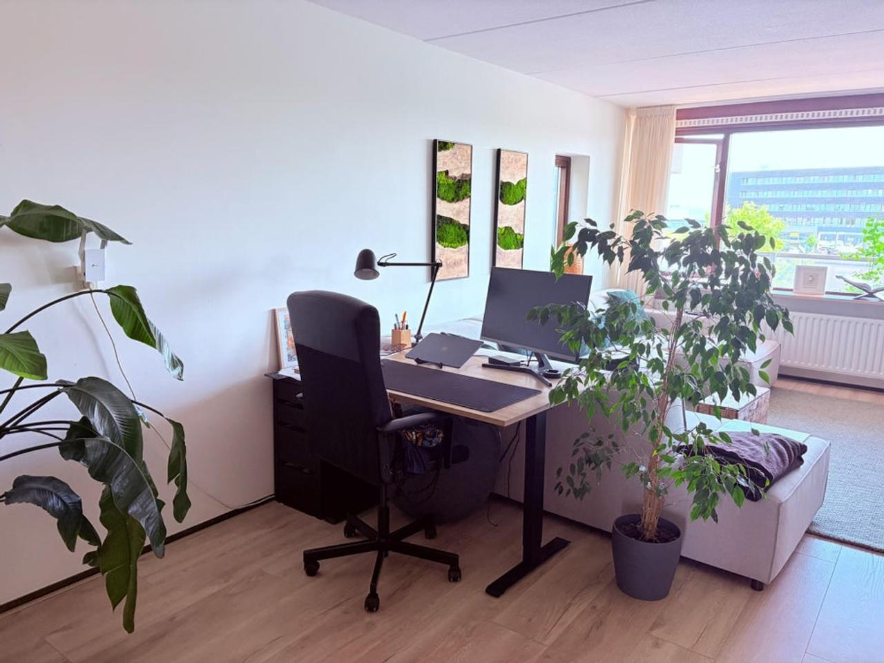Aan het Spaarne met balkon en privéparking - Afbeelding 7