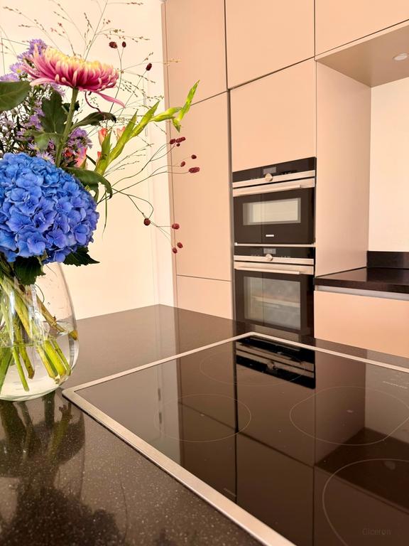 Three bedrooms right by Schegpark - Image 5