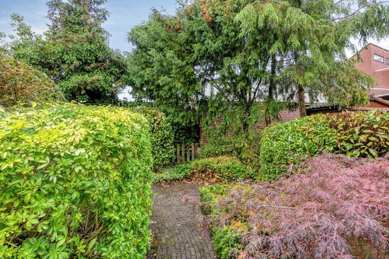 Deep southwest-facing garden in Leiderdorp - Image 12