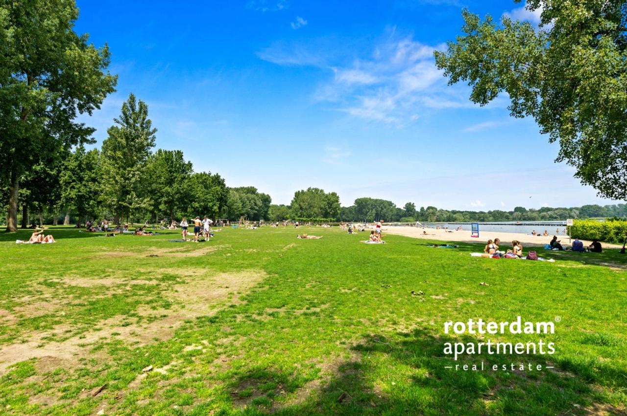Volledig vernieuwd bij de Kralingse Plas - Afbeelding 9