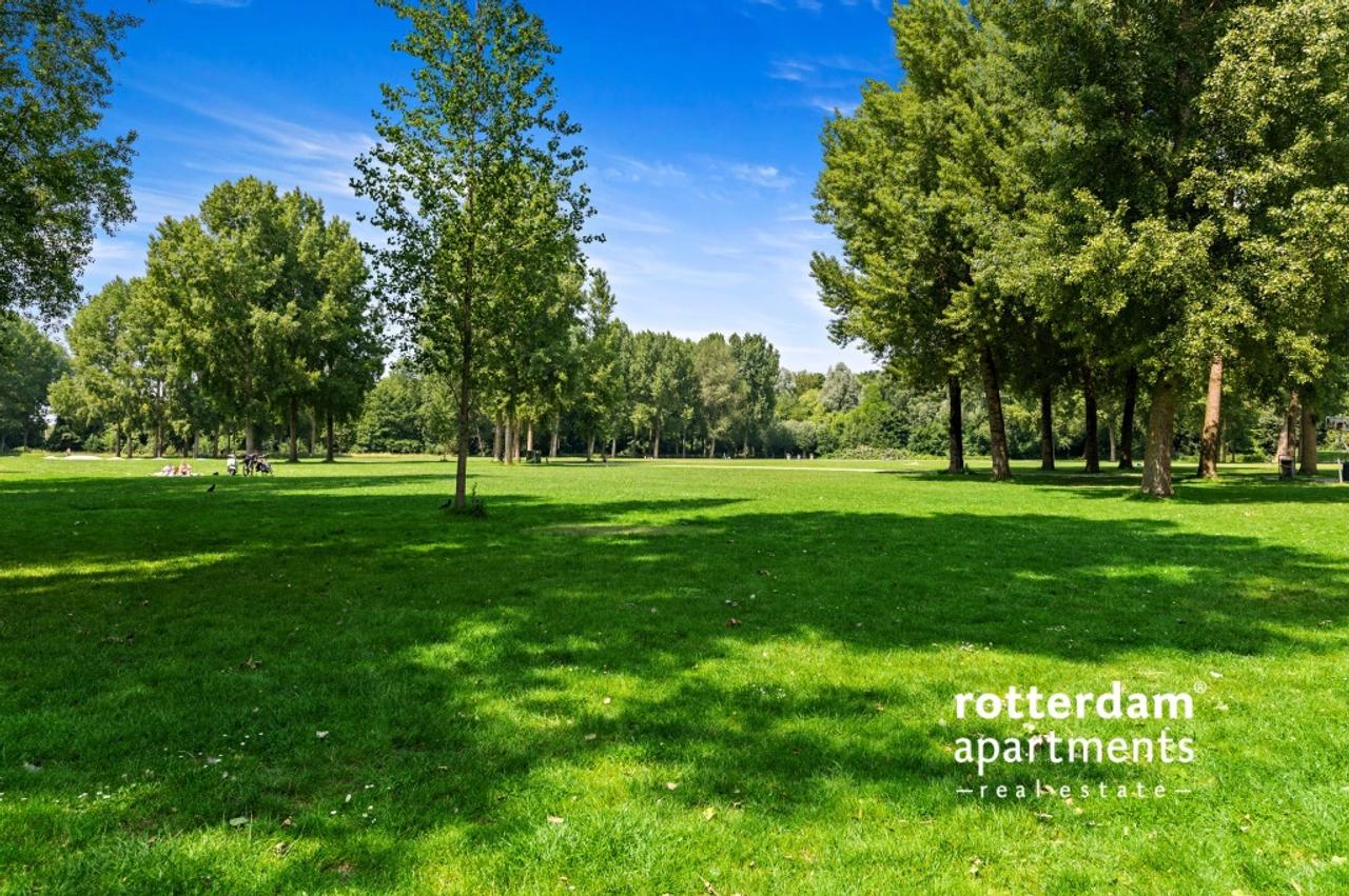 Volledig vernieuwd bij de Kralingse Plas - Afbeelding 10