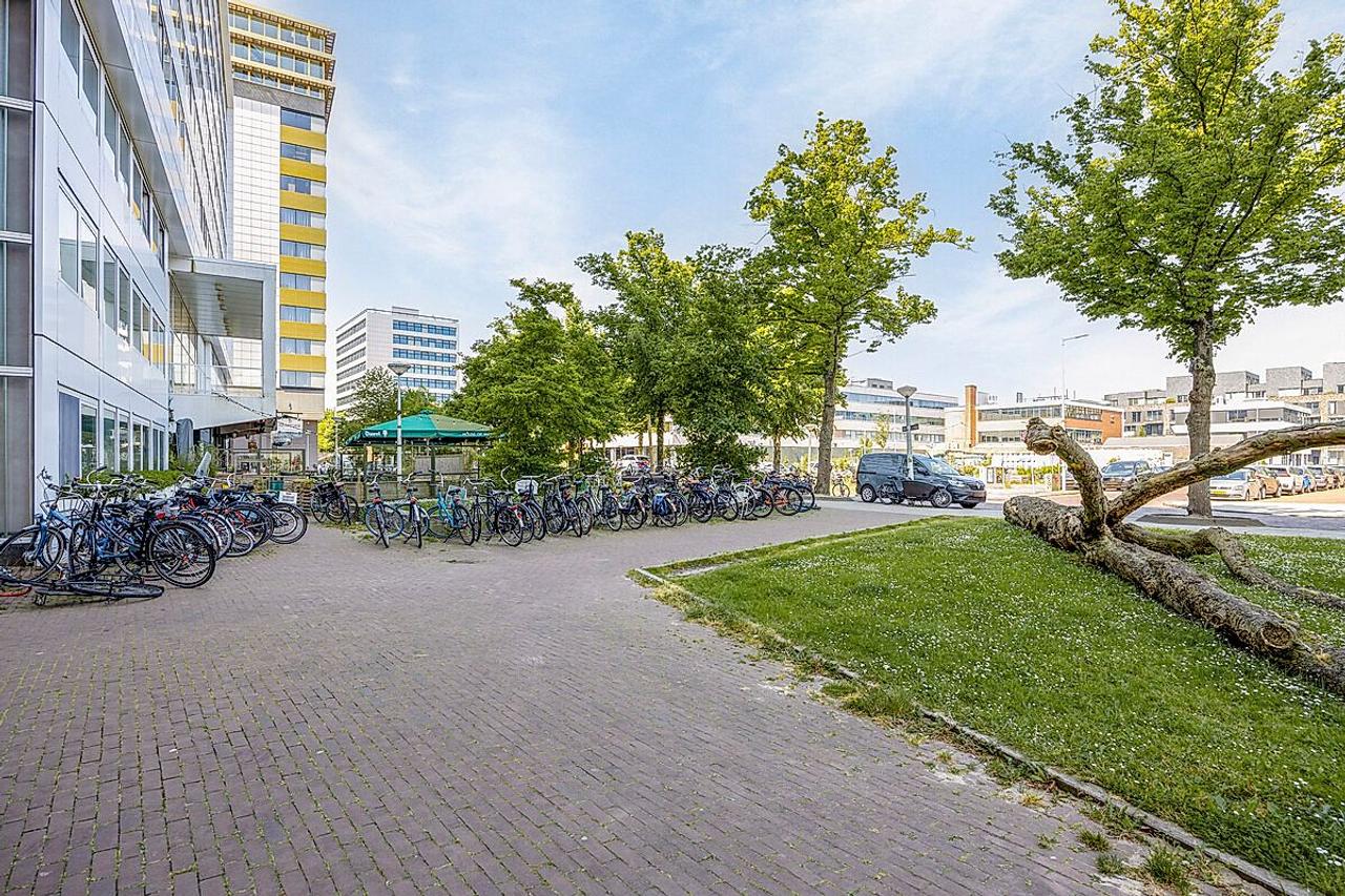 61 m² with Two Bedrooms and Loggia - Image 2