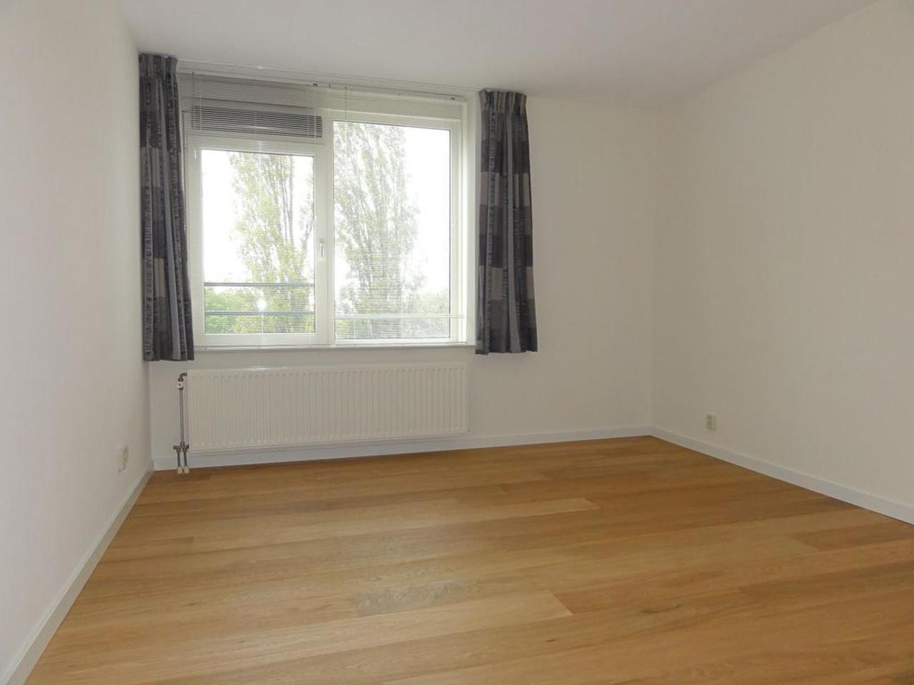 Uninterrupted Views and Sunny Terrace in Leiden - Image 12