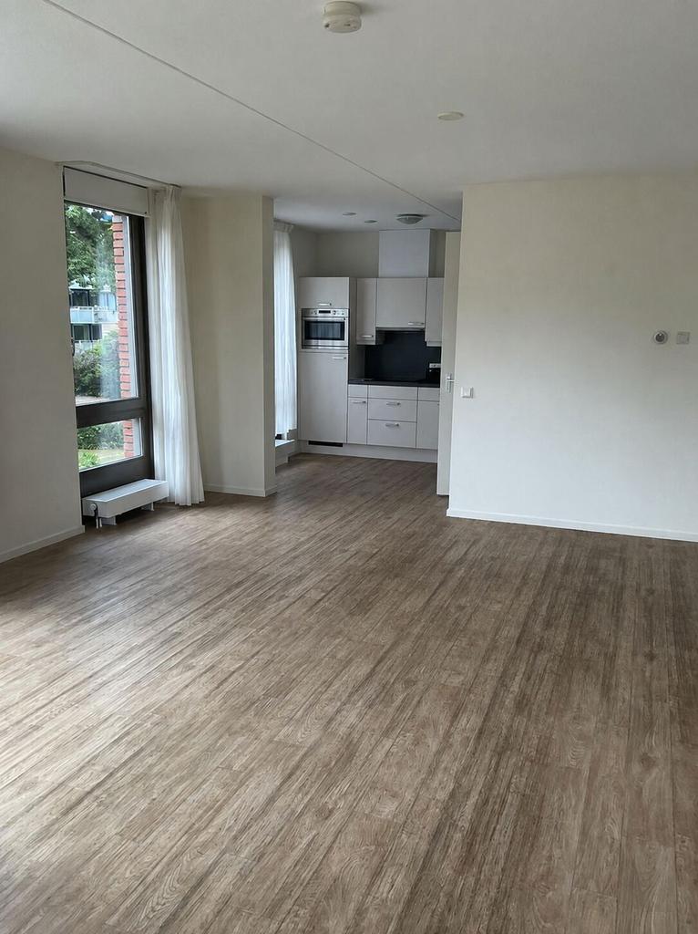 Ground-Floor 55+ Apartment with Balcony - Image 3