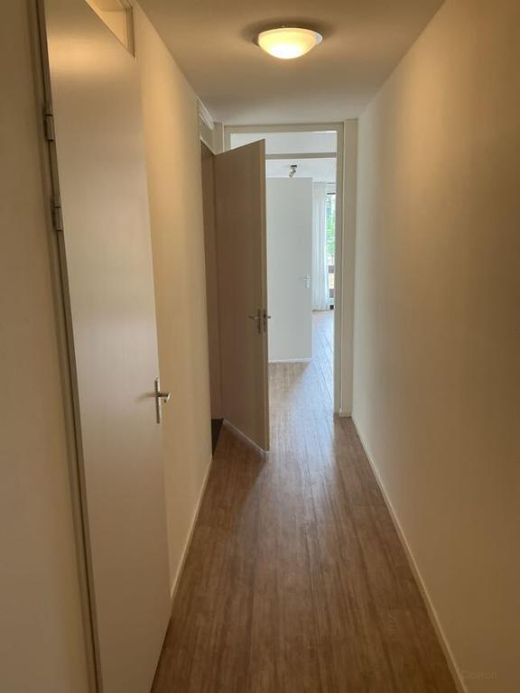 Ground-Floor 55+ Apartment with Balcony - Image 5