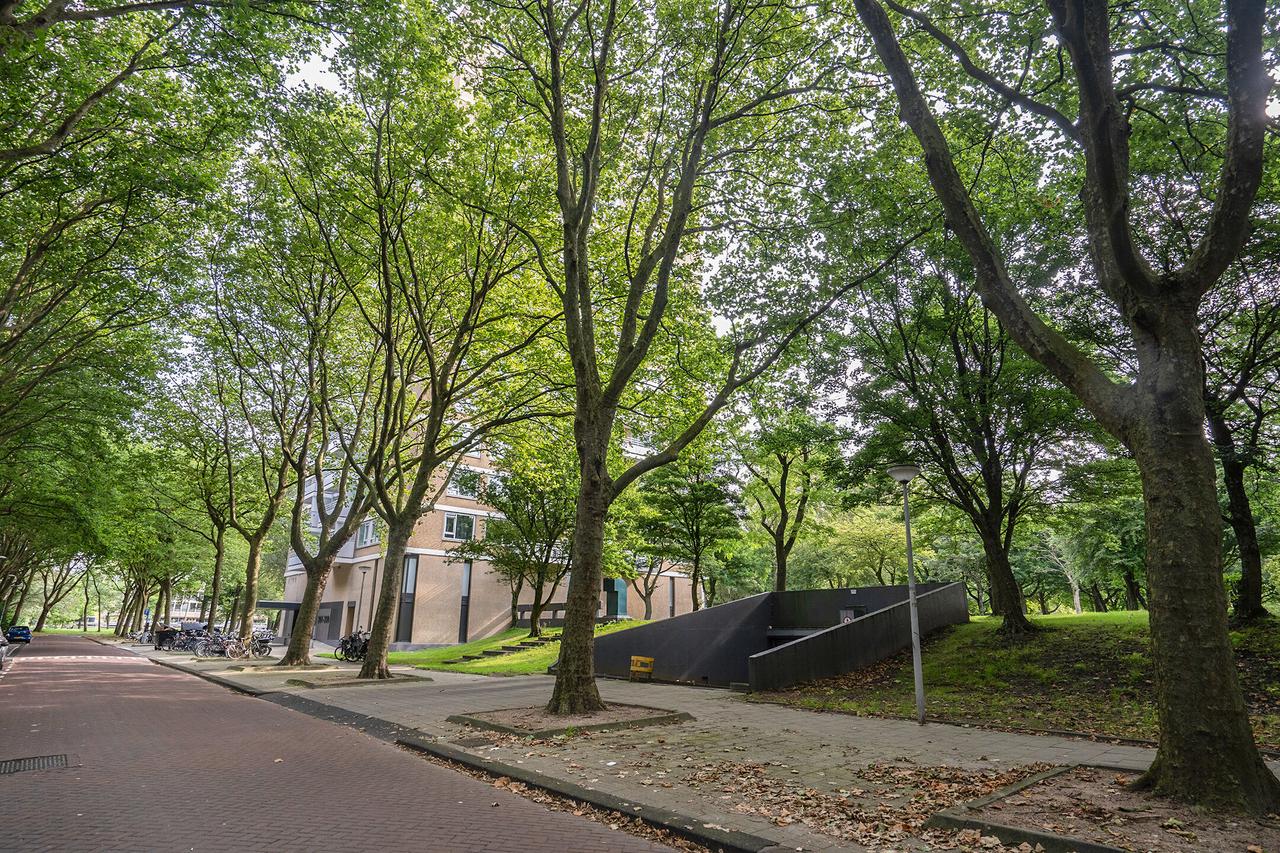 4-room apartment, 85 m², with private parking - Image 12