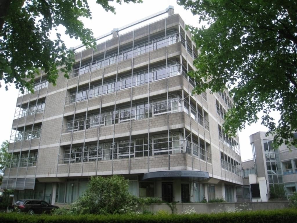 Gestoffeerde studio met terras in Zwolle - Afbeelding 1