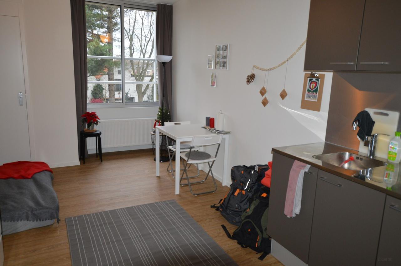 Studio met terras aan de rand van Zwolle centrum - Afbeelding 2