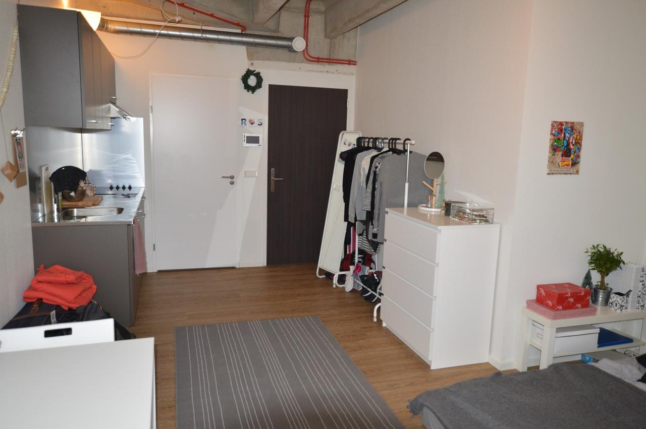 Studio met terras aan de rand van Zwolle centrum - Afbeelding 3