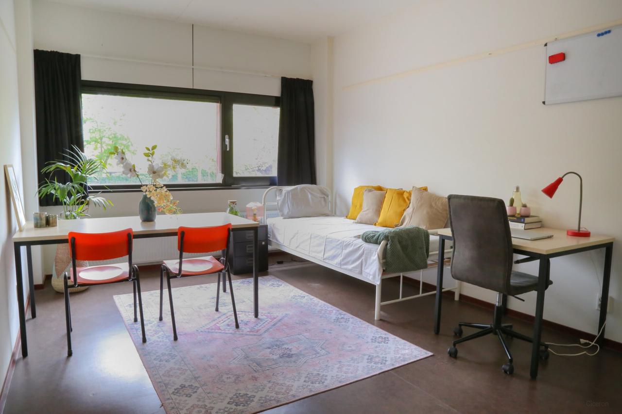 Soft-furnished studio with solar panels in Eindhoven - Image 1