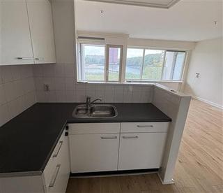 Licht 2-kamer appartement in Prinsenland - Afbeelding 4