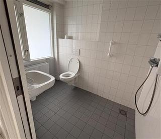 Licht 2-kamer appartement in Prinsenland - Afbeelding 7