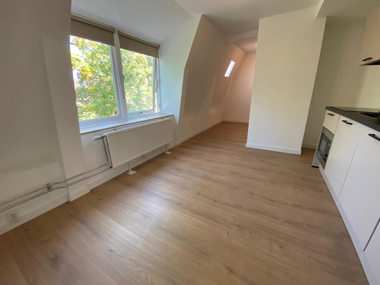 Kamer met eigen keuken in de Schildersbuurt - Afbeelding 16