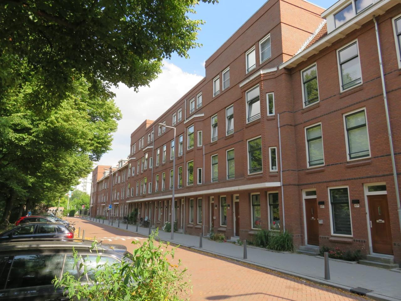 Dakterras en 3 slaapkamers in Nieuwe Westen - Afbeelding 1