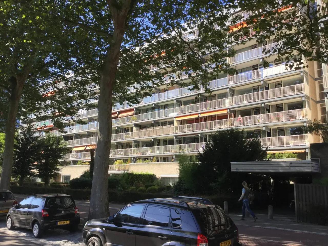 Direct beschikbare studio van 44 m² in Den Haag - Afbeelding 1