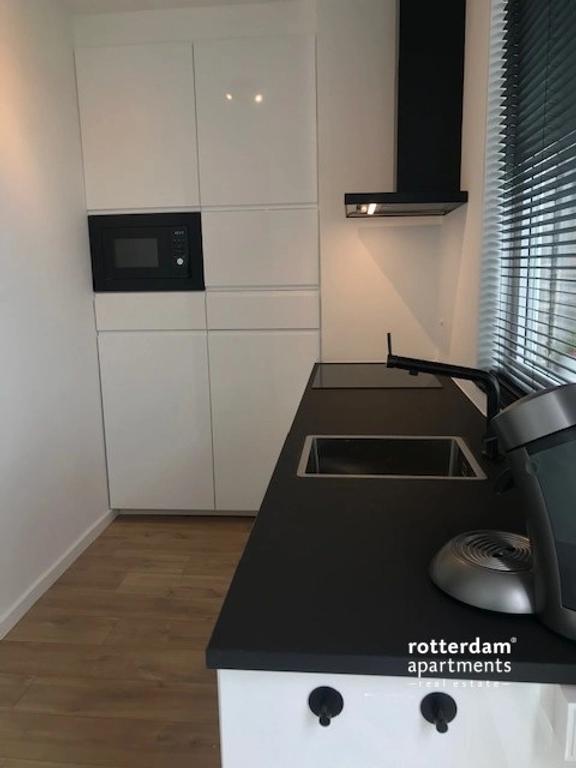 Gemeubileerd appartement met uitzicht op de Maas - Afbeelding 8