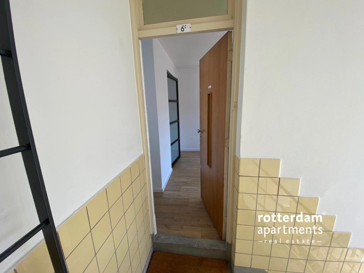 Gemeubileerd appartement met uitzicht op de Maas - Afbeelding 17
