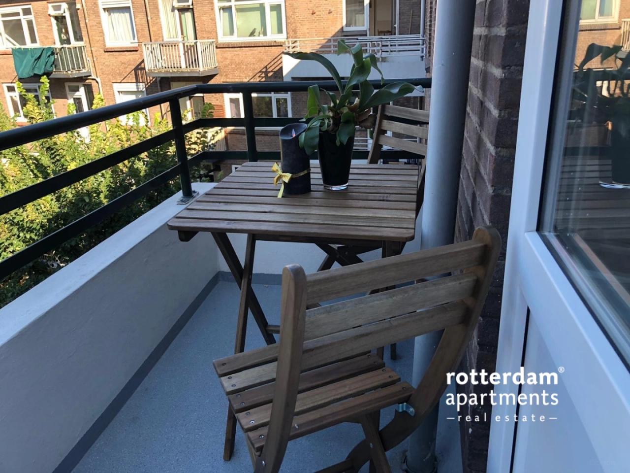 Gemeubileerd appartement met uitzicht op de Maas - Afbeelding 19