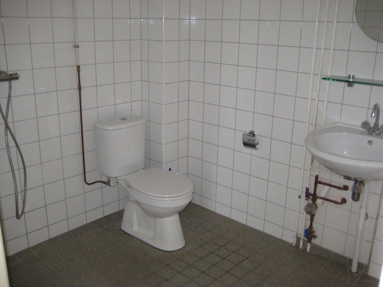 Gelijkvloers appartement met terras in Voorst - Afbeelding 9