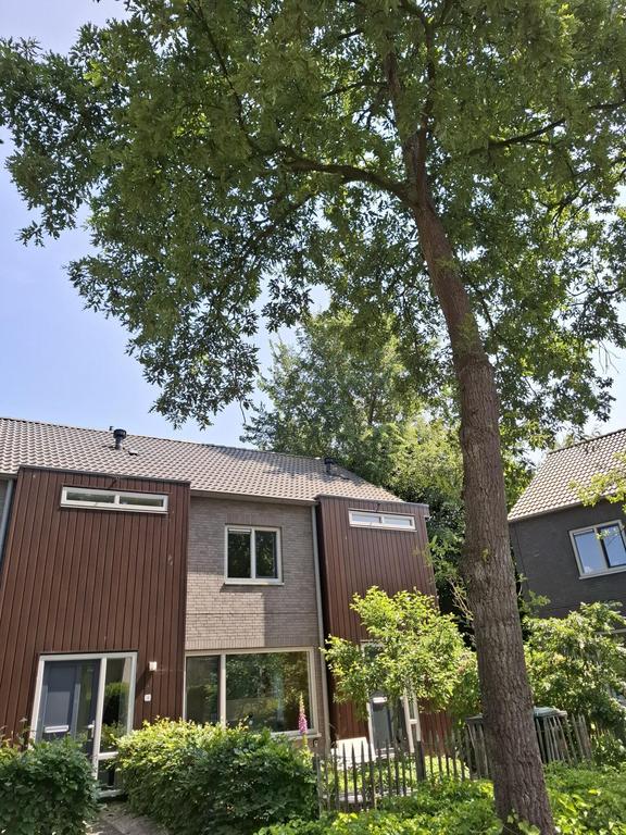 95 m² met vier slaapkamers en eigen tuin - Afbeelding 12