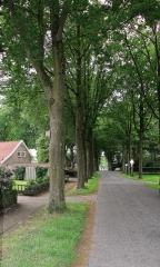 Vrijstaand en gemeubileerd huis in Ruinerwold - Afbeelding 9