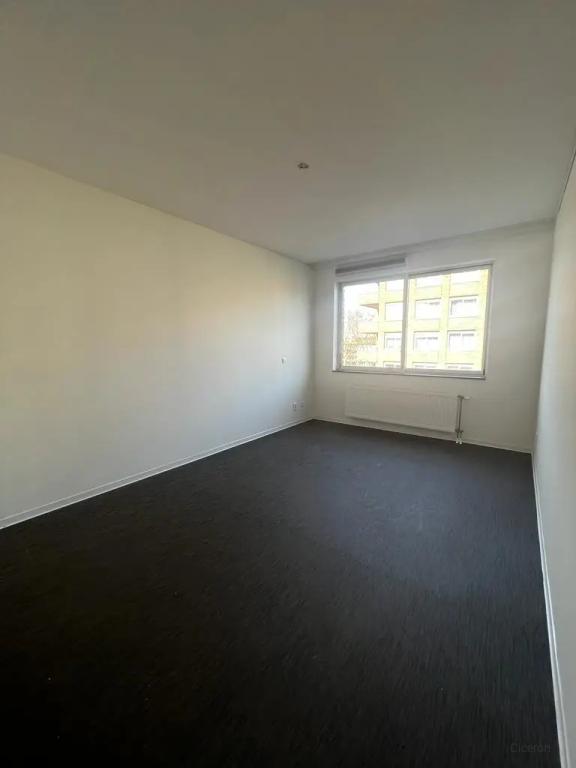 Wheelchair-Accessible 2-Bedroom Apartment in Pendrecht - Image 17