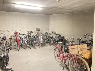 Furnished 3-Bedroom Apartment in Kruidenbuurt - Image 25
