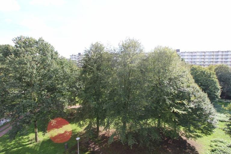 95 m² apartment with sunny balcony - Image 18