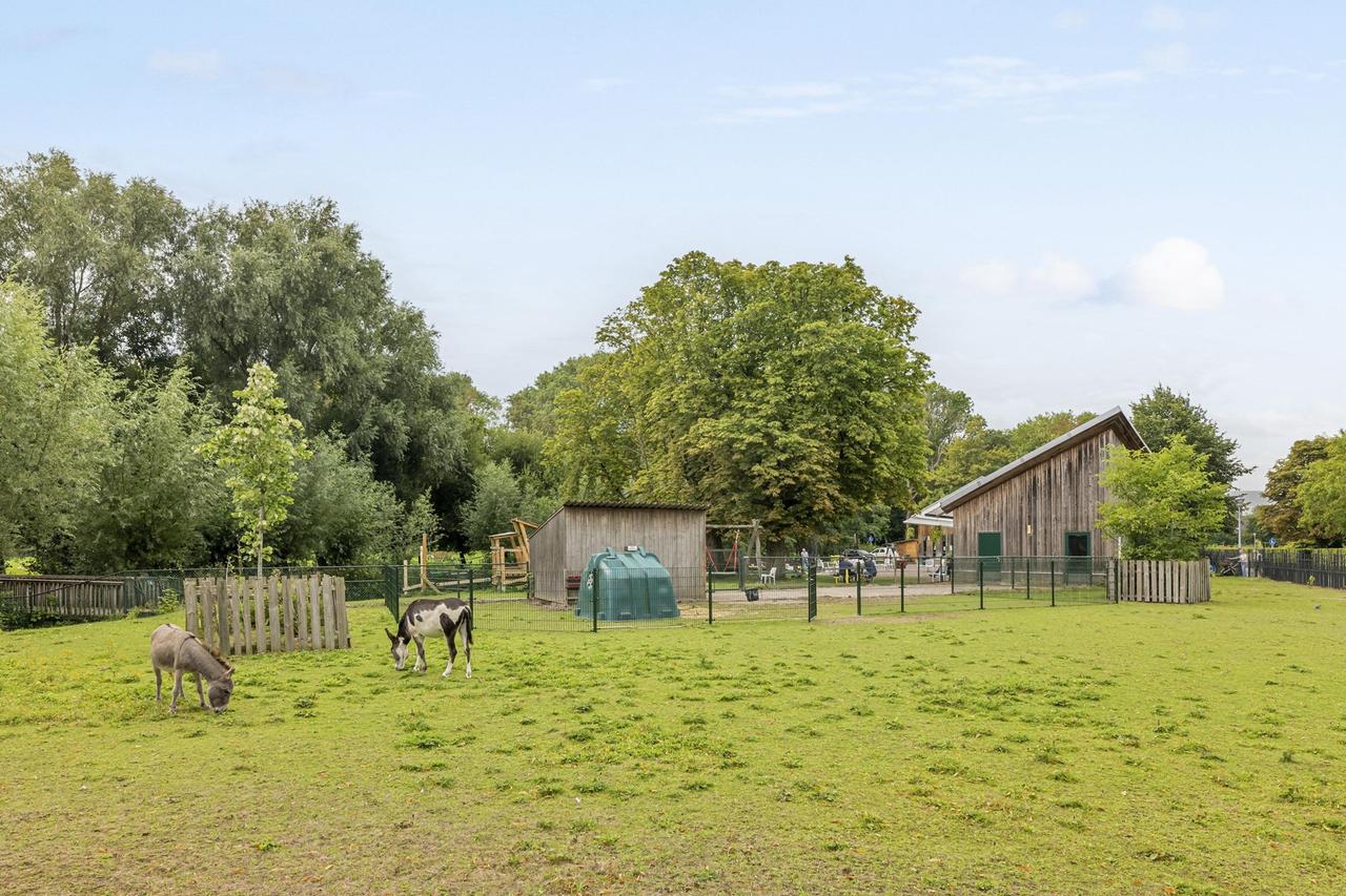 15 m² buitenruimte in Hyde Park - Afbeelding 17