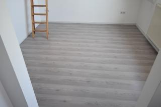 Lichte kamer met vliering in Delft - Afbeelding 2
