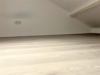 Lichte kamer met vliering in Delft - Afbeelding 8