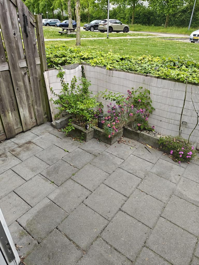 Studio van 28 m² in Rosmalen vanaf €300 - Afbeelding 3