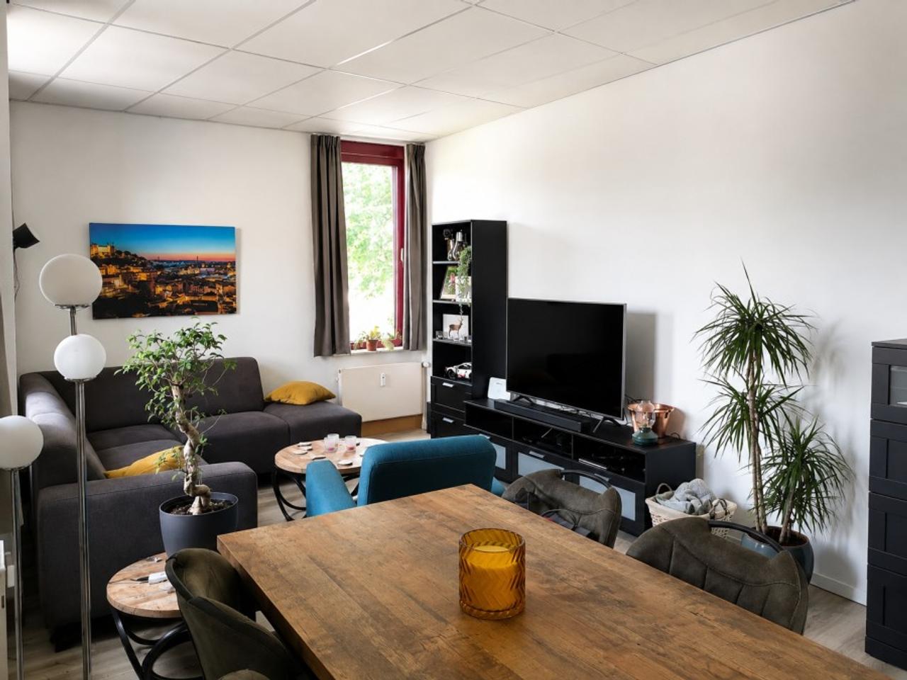 53 m² studio with separate sleeping area - Image 3