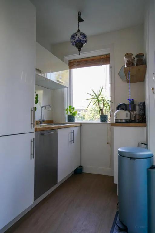 Furnished 2-Bedroom Apartment with Cat - Image 4