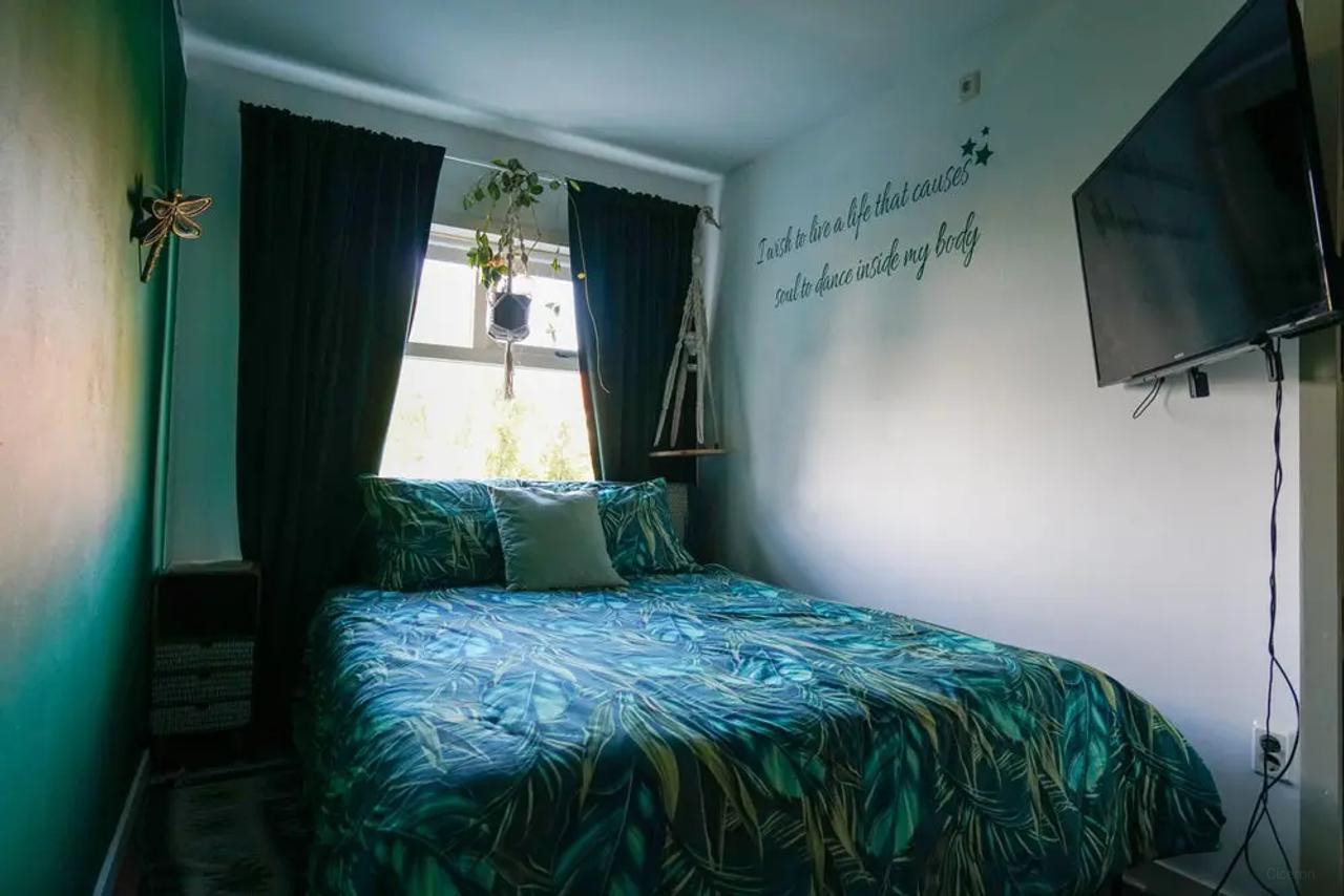 Furnished 2-Bedroom Apartment with Cat - Image 7