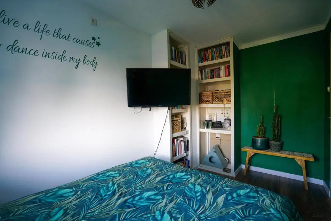 Furnished 2-Bedroom Apartment with Cat - Image 9
