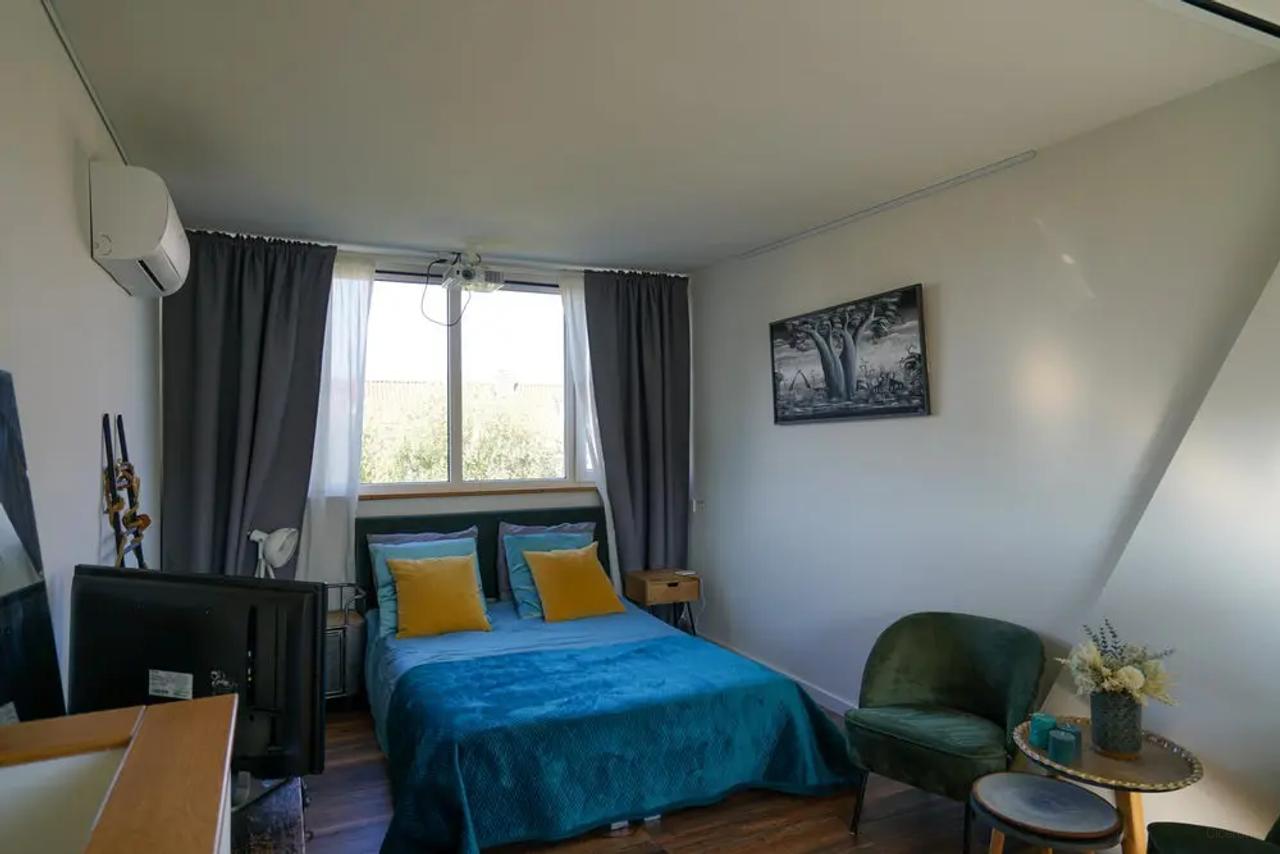 Furnished 2-Bedroom Apartment with Cat - Image 12