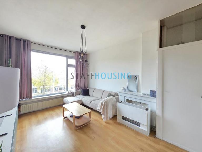 Furnished 3-Bedroom Apartment with Parking - Image 8