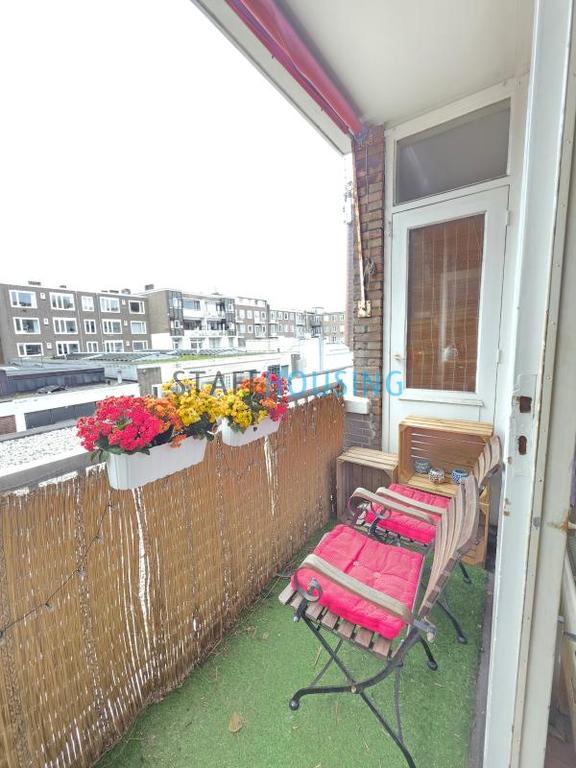 Furnished 3-Bedroom Apartment with Parking - Image 13