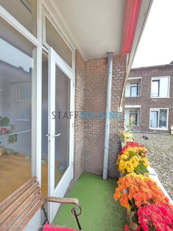 Furnished 3-Bedroom Apartment with Parking - Image 14