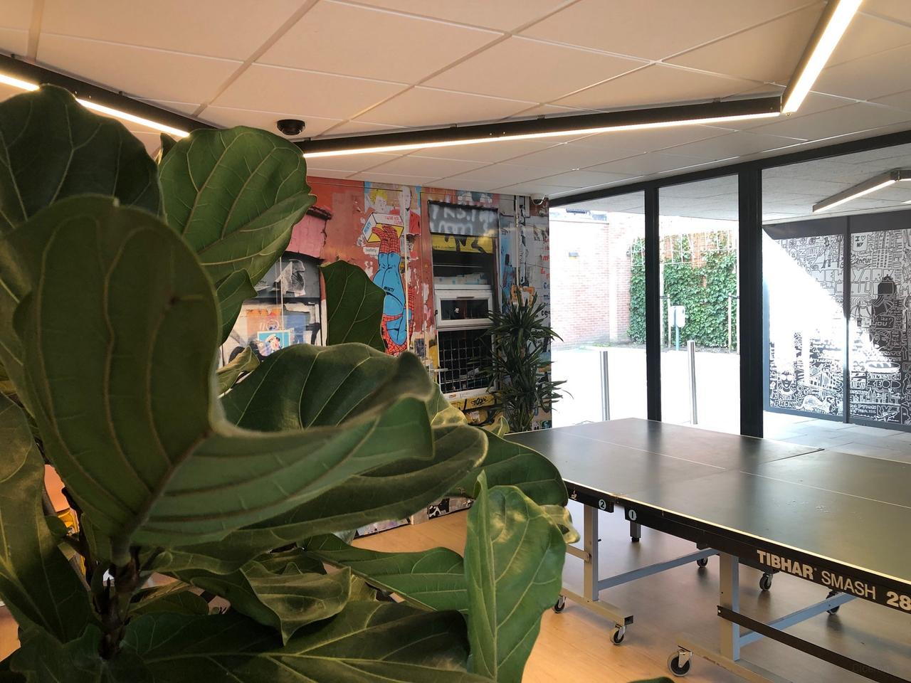 Studio with terrace in New Harlem, Haarlem - Image 9