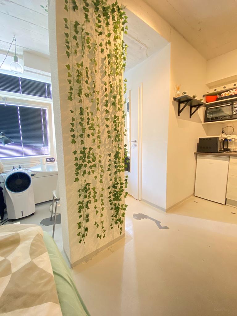 Gemeubileerde studio nabij Erasmus Universiteit - Afbeelding 3