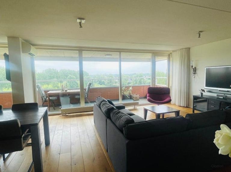 Balkon met uitzicht op de Maas in Den Bosch - Afbeelding 6
