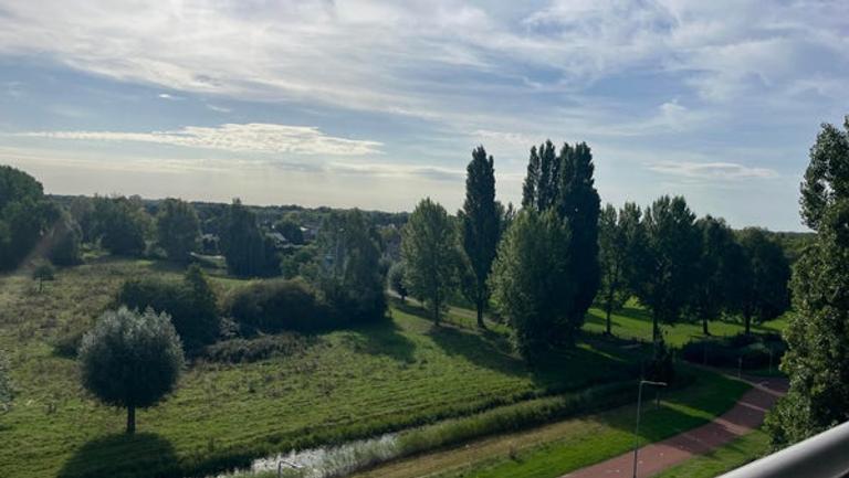 Balkon met uitzicht op de Maas in Den Bosch - Afbeelding 9