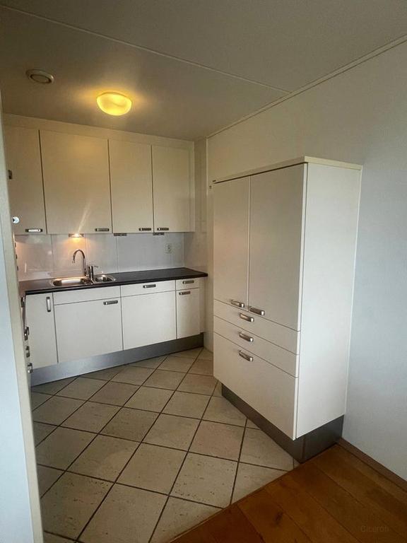 Balkon met uitzicht op de Maas in Den Bosch - Afbeelding 11