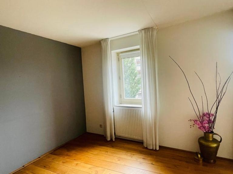 Balkon met uitzicht op de Maas in Den Bosch - Afbeelding 13