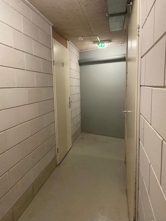Balkon met uitzicht op de Maas in Den Bosch - Afbeelding 21