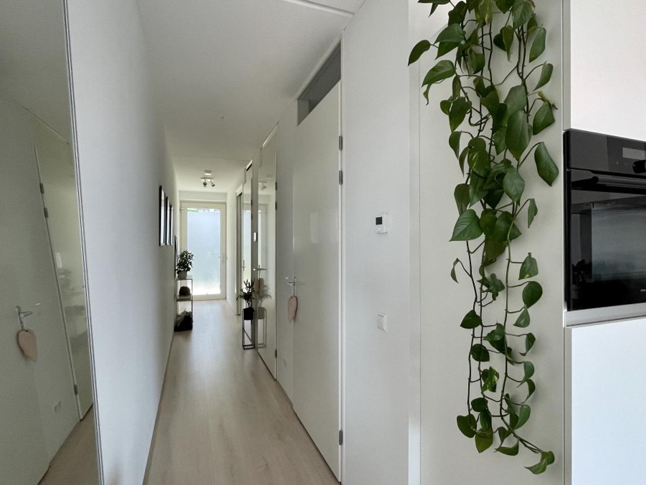 A+++ Apartment with Rooftop Garden in Leiden - Image 2