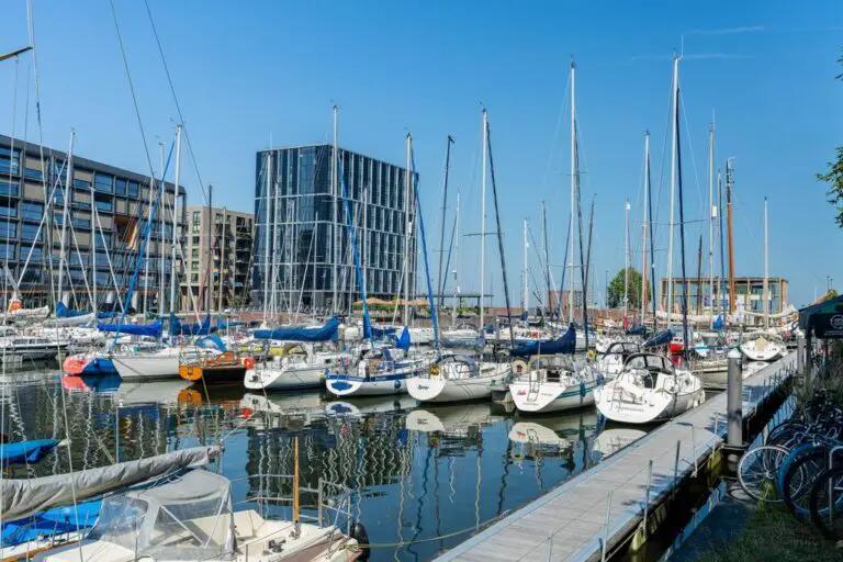 Terras aan de binnentuin op IJburg - Afbeelding 29
