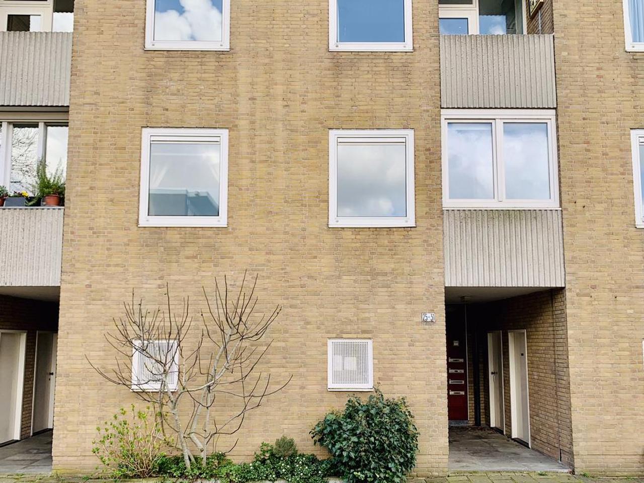 Rental Apartment on Frieslandstraat - Image 2